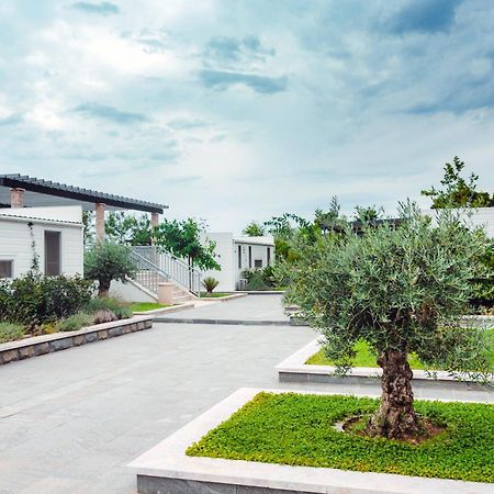 Poseidon Mobile Home Resort 마카르스카 외부 사진